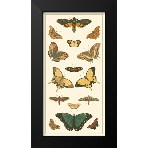 Cramer Butterfly Panel I  Black Modern Wood Framed Art Print by Pieter, Cramer