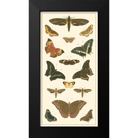 Cramer Butterfly Panel II  Black Modern Wood Framed Art Print by Pieter, Cramer