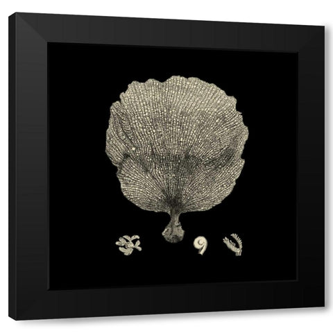 Black and Tan Coral II Black Modern Wood Framed Art Print by Vision Studio