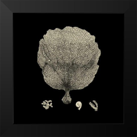 Black and Tan Coral II Black Modern Wood Framed Art Print by Vision Studio