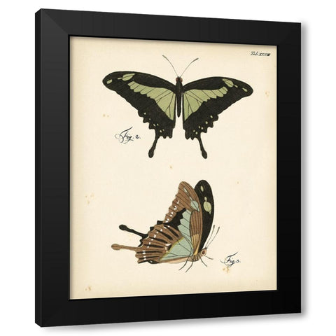 Butterfly Profile III Black Modern Wood Framed Art Print by Vision Studio