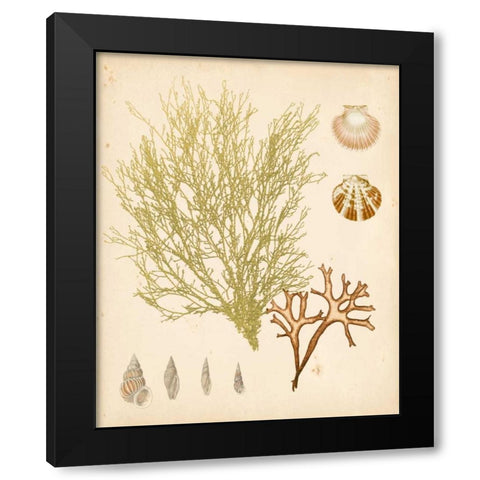 Coastal Relic II Black Modern Wood Framed Art Print by Vision Studio
