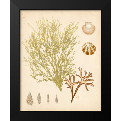 Coastal Relic II Black Modern Wood Framed Art Print by Vision Studio