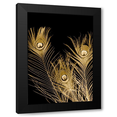 Plumes Dor I Black Modern Wood Framed Art Print by Johnson, Jason