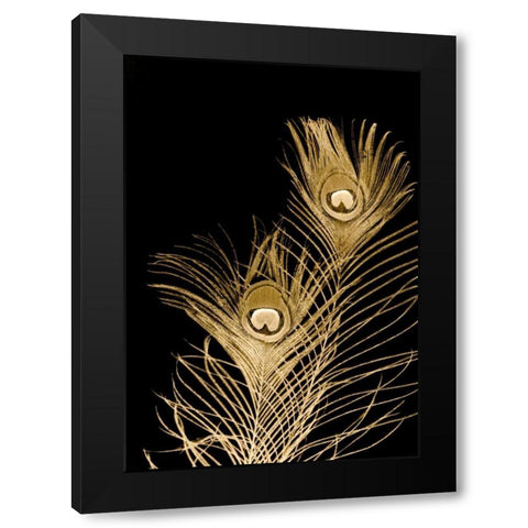 Plumes Dor II Black Modern Wood Framed Art Print by Johnson, Jason