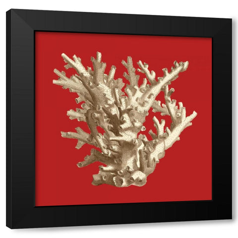 Coral on Red I Black Modern Wood Framed Art Print by Vision Studio