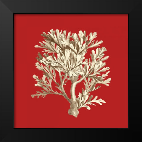 Coral on Red IV Black Modern Wood Framed Art Print by Vision Studio