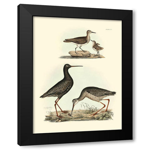 Selby Sandpipers I Black Modern Wood Framed Art Print with Double Matting by Selby, John