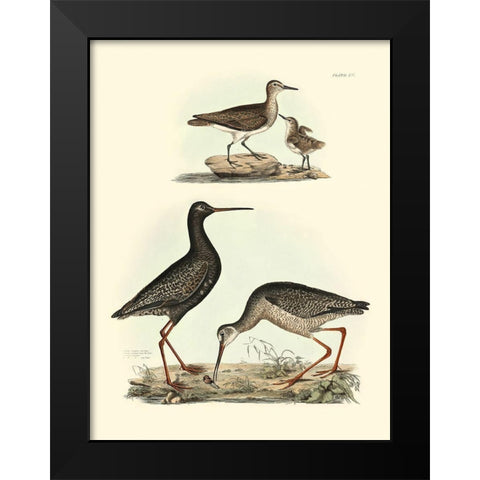 Selby Sandpipers I Black Modern Wood Framed Art Print by Selby, John