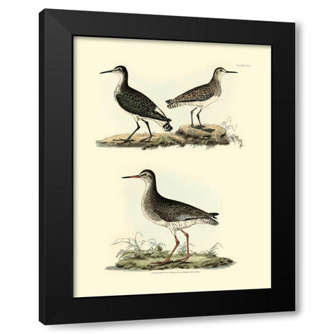 Selby Sandpipers II Black Modern Wood Framed Art Print with Double Matting by Selby, John