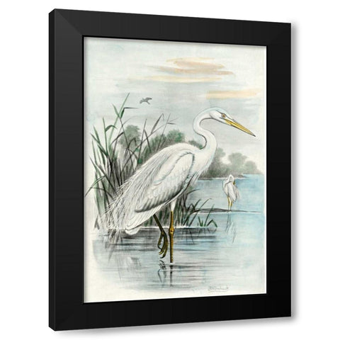 Oversize White Heron Black Modern Wood Framed Art Print with Double Matting by unknown