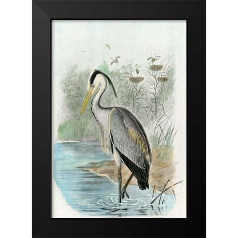 Oversize Common Heron Black Modern Wood Framed Art Print by unknown