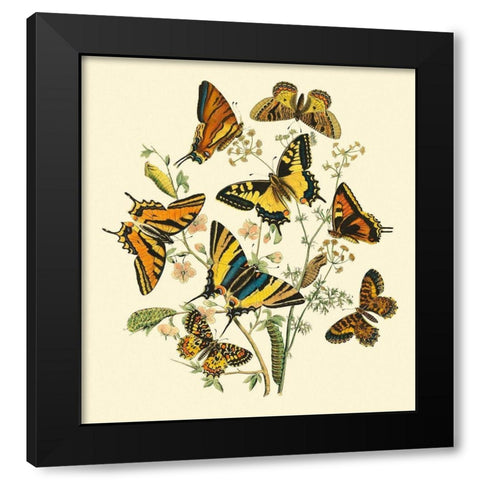 Butterfly Gathering I Black Modern Wood Framed Art Print with Double Matting by Vision Studio