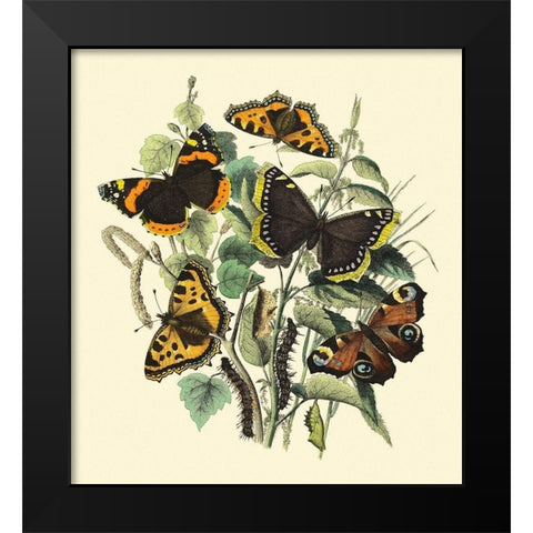 Butterfly Gathering II Black Modern Wood Framed Art Print by Vision Studio