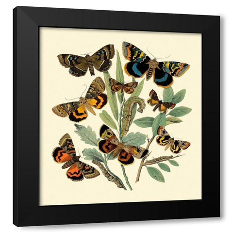 Butterfly Gathering III Black Modern Wood Framed Art Print by Vision Studio