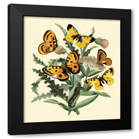 Butterfly Gathering IV Black Modern Wood Framed Art Print by Vision Studio
