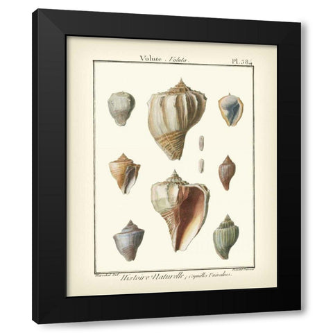 Volute Shells, Pl.384 Black Modern Wood Framed Art Print by Diderot, Denis