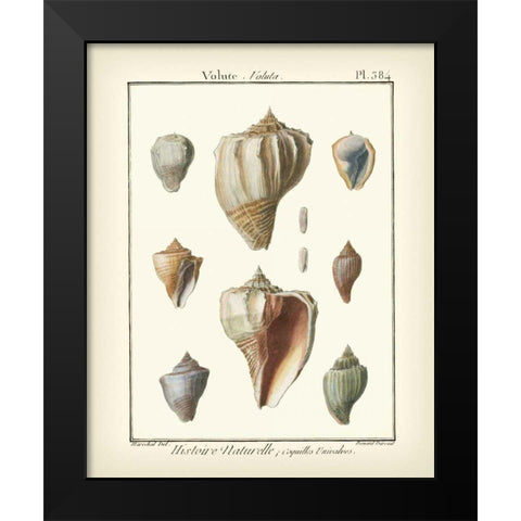 Volute Shells, Pl.384 Black Modern Wood Framed Art Print by Diderot, Denis