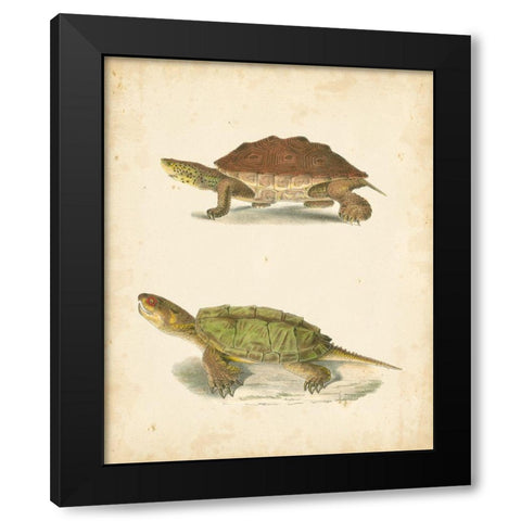Turtle Duo II Black Modern Wood Framed Art Print by Hill, J.W.