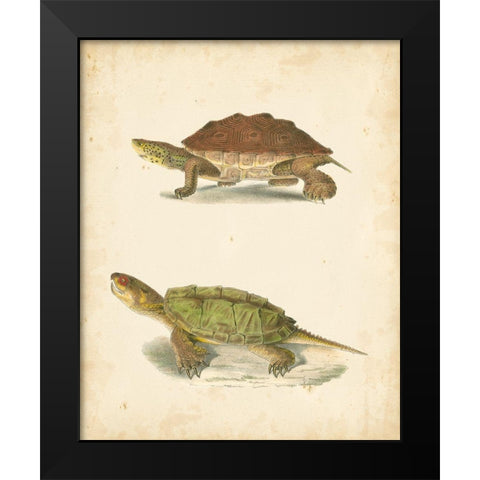 Turtle Duo II Black Modern Wood Framed Art Print by Hill, J.W.