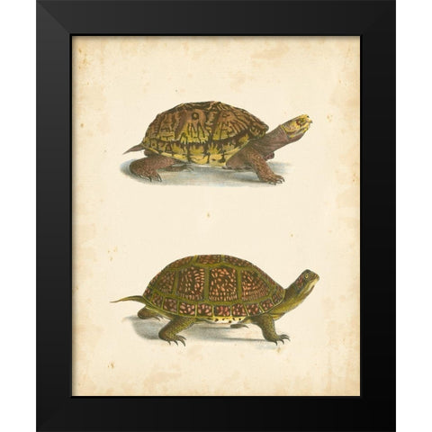 Turtle Duo III Black Modern Wood Framed Art Print by Hill, J.W.