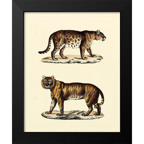 Animal Studies II Black Modern Wood Framed Art Print by Vision Studio