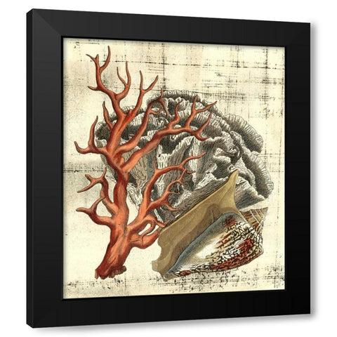 Neptunes Composition II Black Modern Wood Framed Art Print with Double Matting by Vision Studio