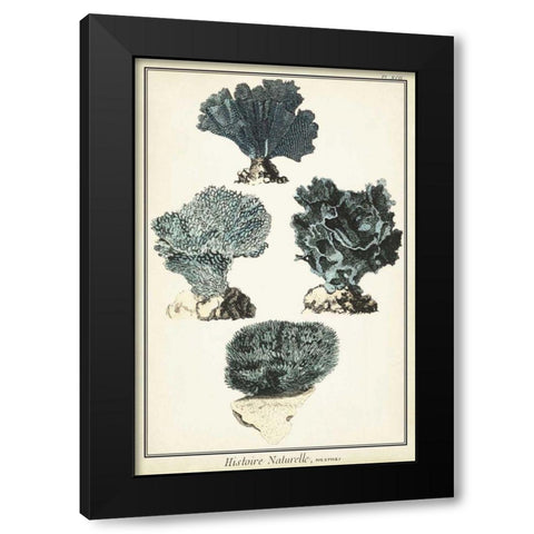 Coral Species I Black Modern Wood Framed Art Print by Vision Studio