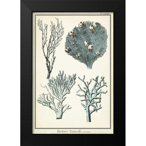 Coral Species II Black Modern Wood Framed Art Print by Vision Studio