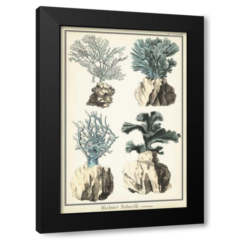 Coral Species III Black Modern Wood Framed Art Print by Vision Studio