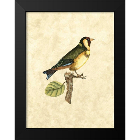 Selby Birds I Black Modern Wood Framed Art Print by Selby, John