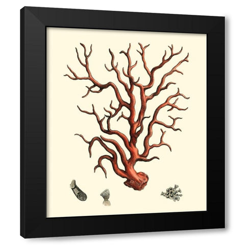 Red Coral I Black Modern Wood Framed Art Print by Vision Studio