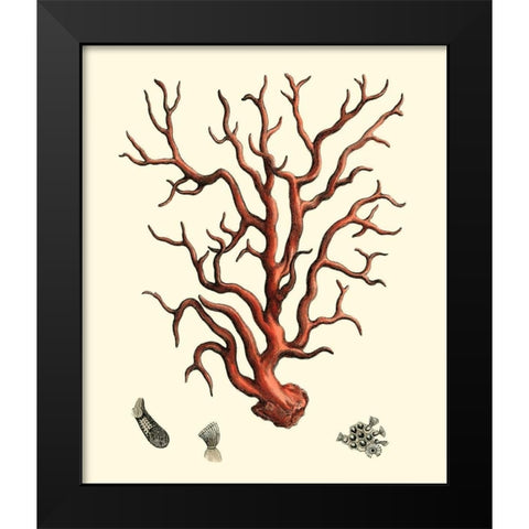 Red Coral I Black Modern Wood Framed Art Print by Vision Studio