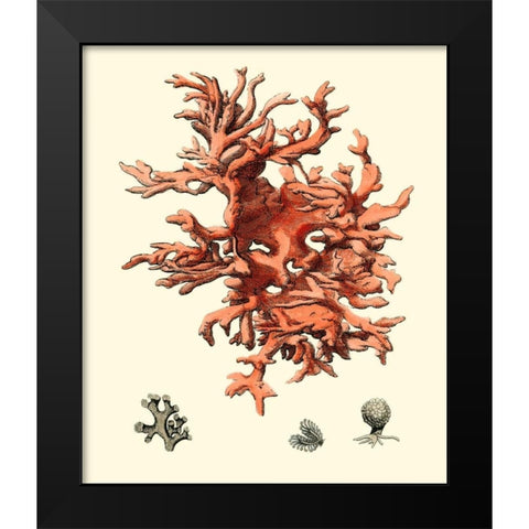 Red Coral III Black Modern Wood Framed Art Print by Vision Studio