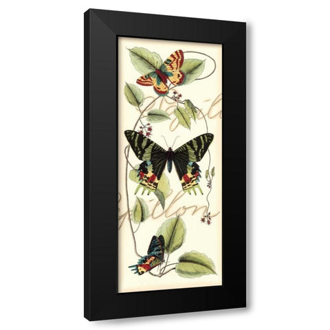 Butterfly Flight II Black Modern Wood Framed Art Print with Double Matting by Vision Studio