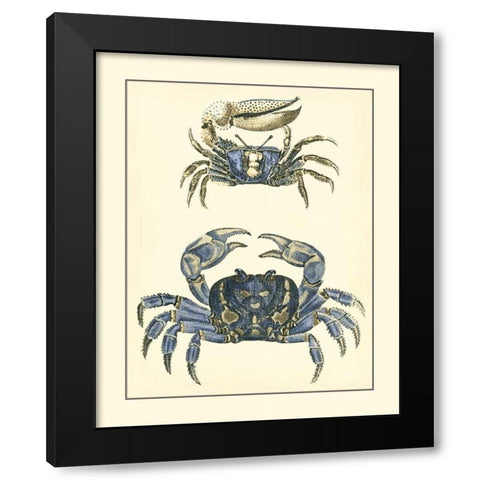 Antique Blue Crabs II Black Modern Wood Framed Art Print by Vision Studio