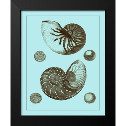 Tinted Shells on Aqua I Black Modern Wood Framed Art Print by Vision Studio