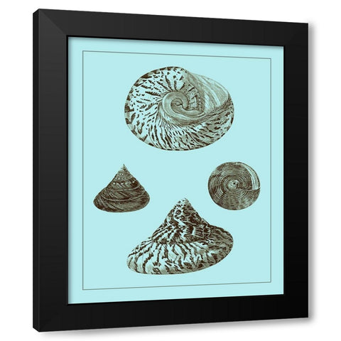 Tinted Shells on Aqua IV Black Modern Wood Framed Art Print by Vision Studio