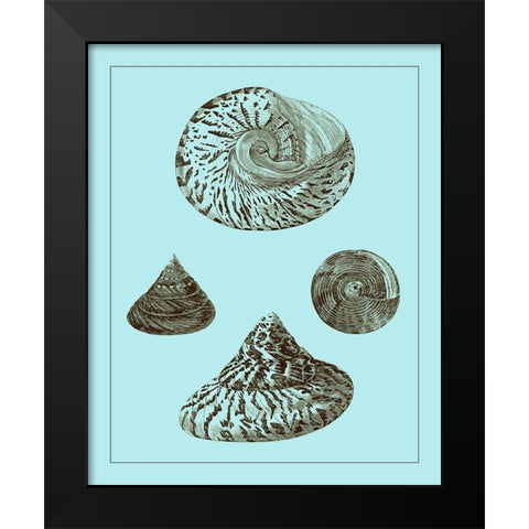 Tinted Shells on Aqua IV Black Modern Wood Framed Art Print by Vision Studio