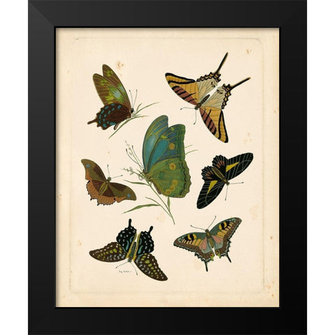 Antique Entomology I Black Modern Wood Framed Art Print by Vision Studio