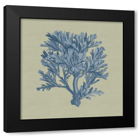 Chambray Coral IV Black Modern Wood Framed Art Print by Vision Studio