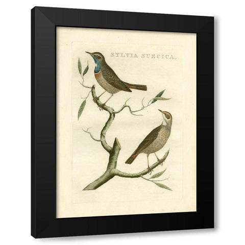 Nozeman Birds II Black Modern Wood Framed Art Print by Nozeman