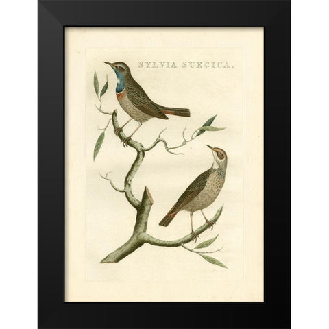 Nozeman Birds II Black Modern Wood Framed Art Print by Nozeman