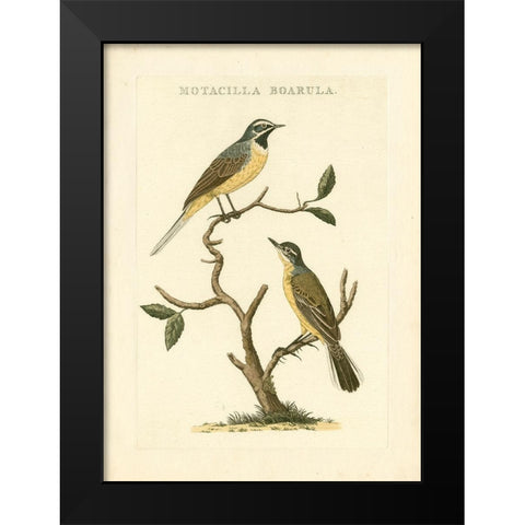 Nozeman Birds III Black Modern Wood Framed Art Print by Nozeman