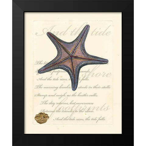 Romance of the Shell II Black Modern Wood Framed Art Print by Vision Studio