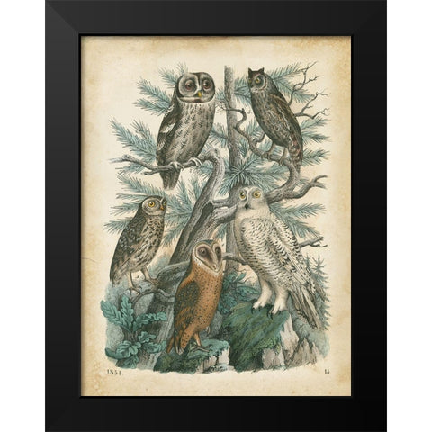 Natures Gathering III Black Modern Wood Framed Art Print by Wiek, John
