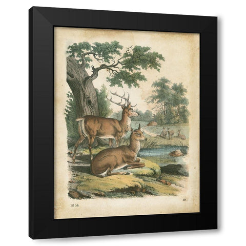 Natures Gathering IV Black Modern Wood Framed Art Print with Double Matting by Wiek, John