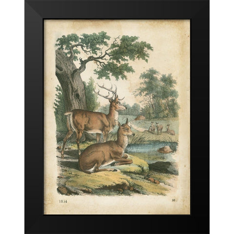 Natures Gathering IV Black Modern Wood Framed Art Print by Wiek, John