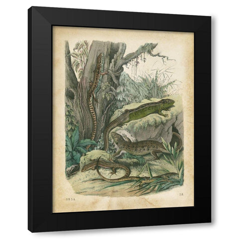 Natures Gathering V Black Modern Wood Framed Art Print by Wiek, John