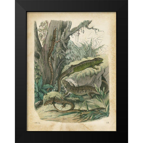 Natures Gathering V Black Modern Wood Framed Art Print by Wiek, John